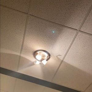 Meet your Posher, Kobe